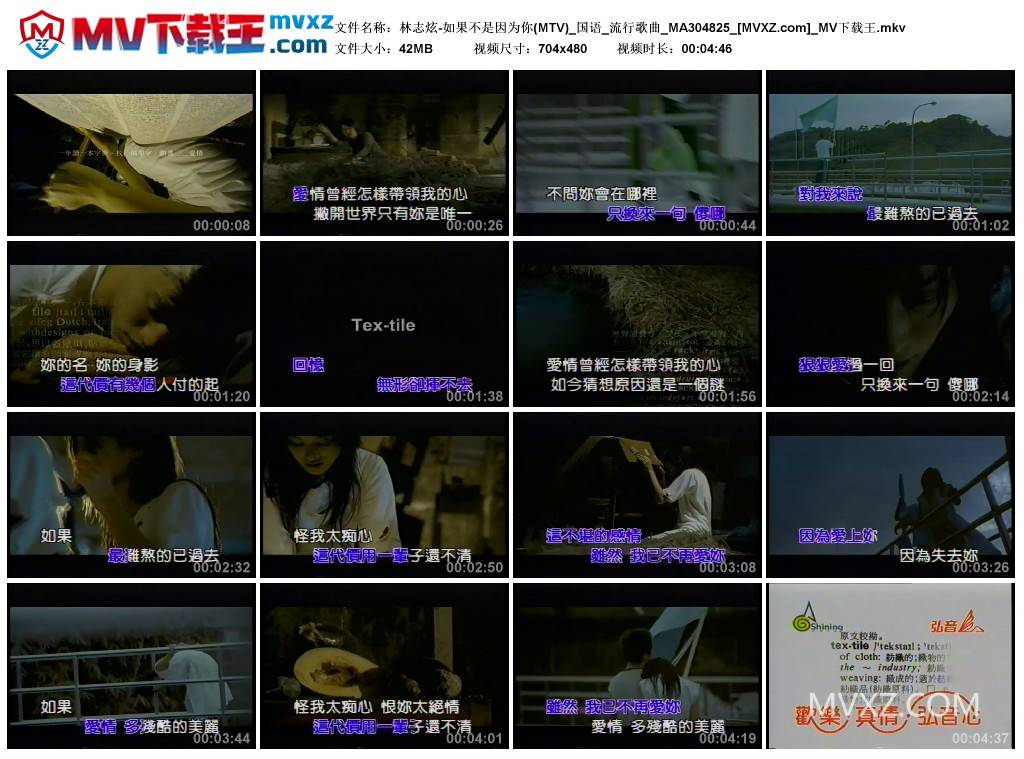 林志炫-如果不是因为你(MTV)_国语_流行歌曲_MA304825
